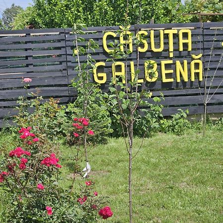 Вилла Casuta Galbena Эфорие Норд Экстерьер фото